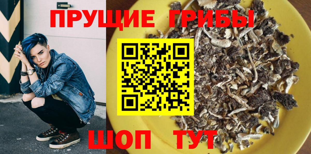 Псилоцибиновые грибы MAGIC MUSHROOMS  Псилоцибиновые грибы прущие грибы  Вход с VPN  Мытищи 